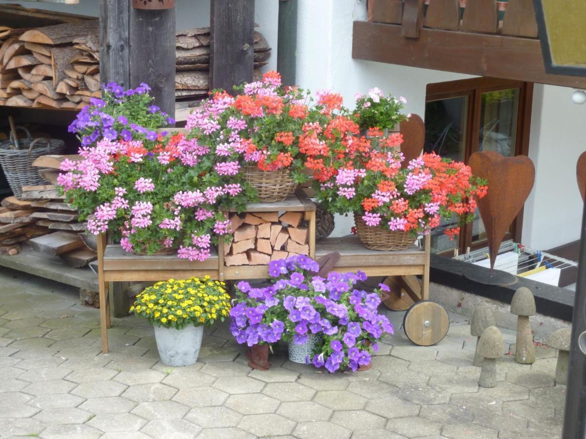 Hartmann Apartamento *